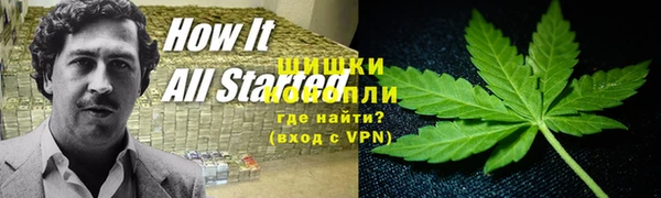 гашик Богородск