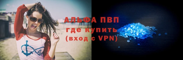ешки Богданович