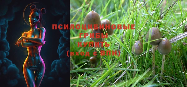 ешки Богданович