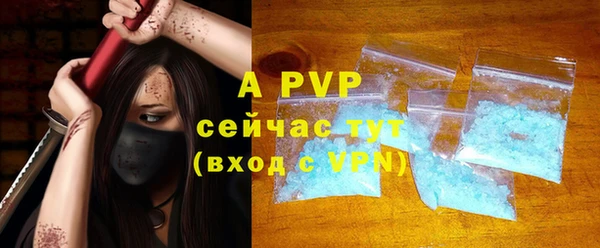 ешки Богданович