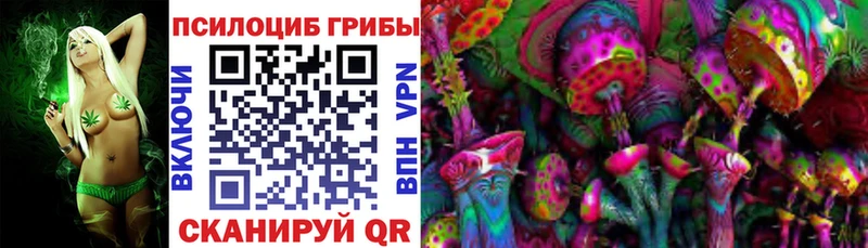где найти наркотики  кракен маркетплейс  Галлюциногенные грибы мицелий  Котово 