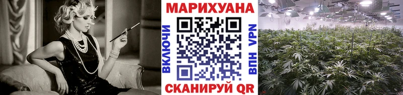 где продают   Котово  Бошки марихуана White Widow 